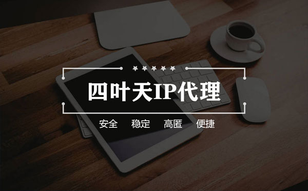 【嘉兴代理IP】如何快速搭建代理IP？怎么检查代理的效果？